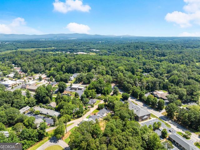 172 Llewellyn Street, Clarkesville, GA 30523