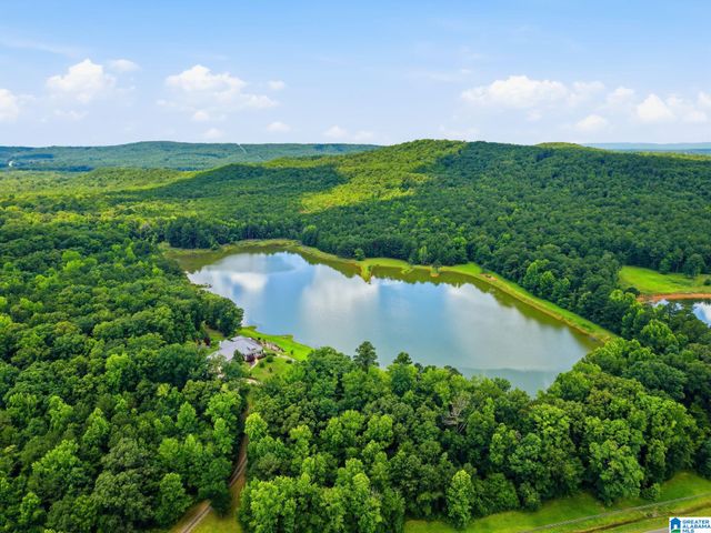 321 HIGHWAY 7, Wilsonville, AL 35186
