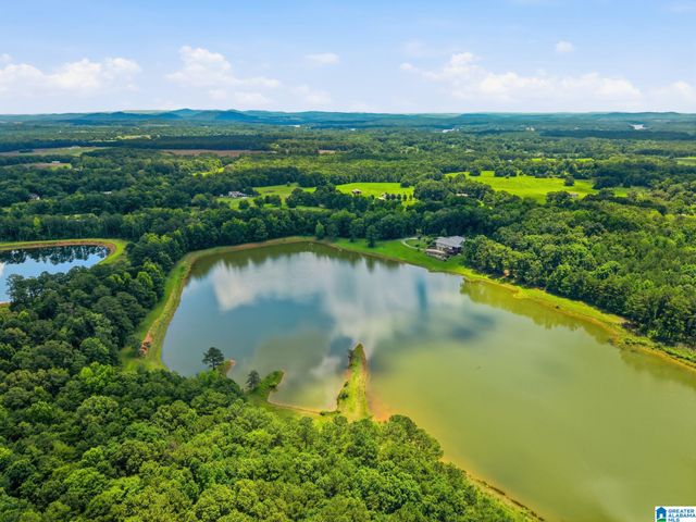 321 HIGHWAY 7, Wilsonville, AL 35186