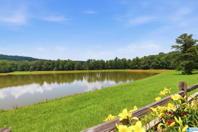 321 HIGHWAY 7, Wilsonville, AL 35186