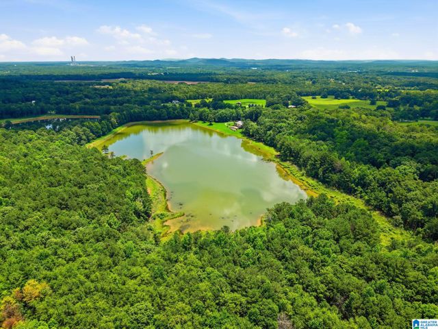 321 HIGHWAY 7, Wilsonville, AL 35186