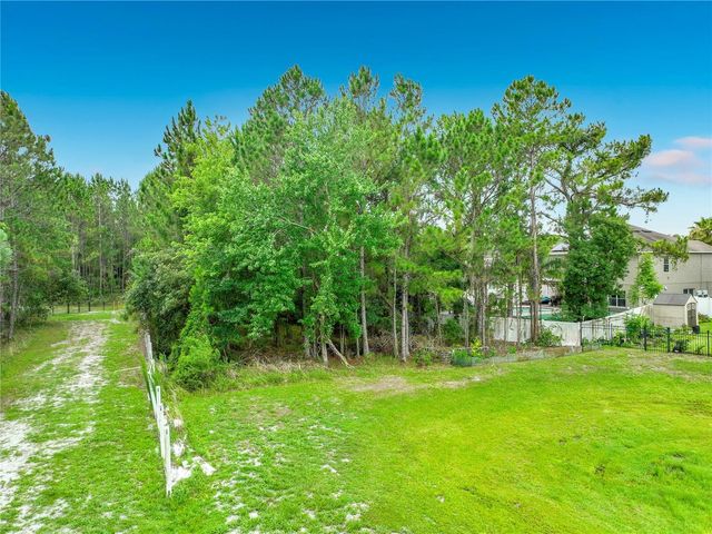 10672 CABBAGE TREE LOOP, Orlando, FL 32825