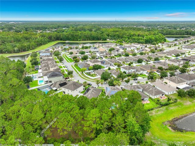 10672 CABBAGE TREE LOOP, Orlando, FL 32825