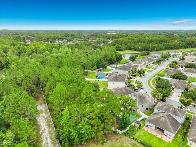 10672 CABBAGE TREE LOOP, Orlando, FL 32825