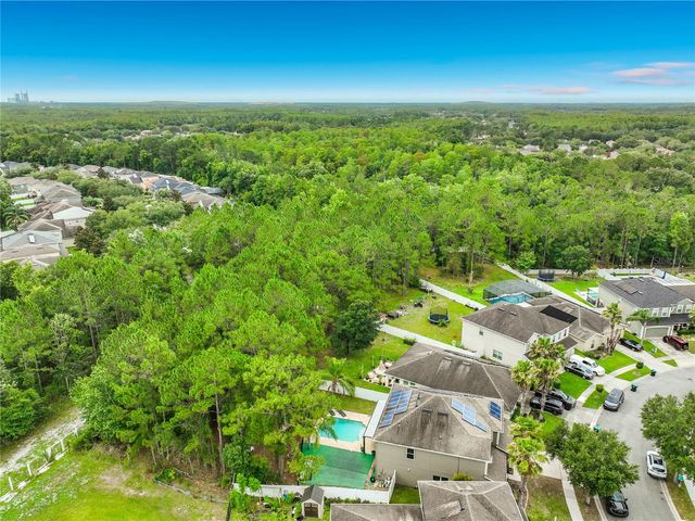 10672 CABBAGE TREE LOOP, Orlando, FL 32825
