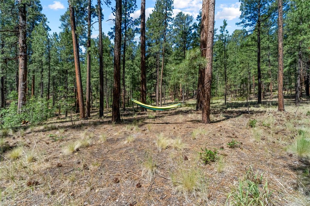 Image 39 of property listing at 578 Horseshoe Loop, Jemez Springs, NM 87025