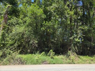 Lot 6 Hill Branch Road, Ridgeville, SC 29472