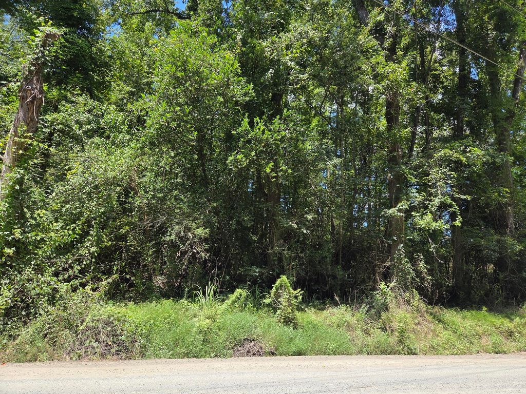 Image 1 of property listing at Lot 6 Hill Branch Road, Ridgeville, SC 29472