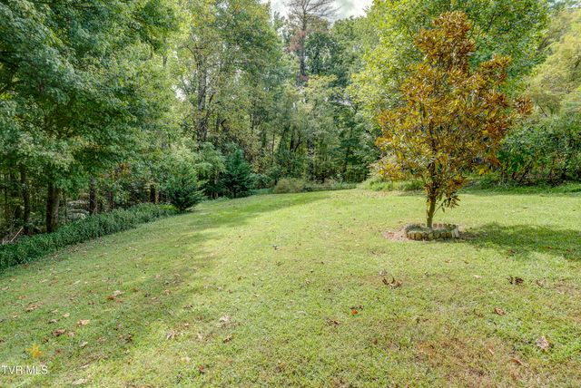 165 Horse Creek Road, Chuckey, TN 37641