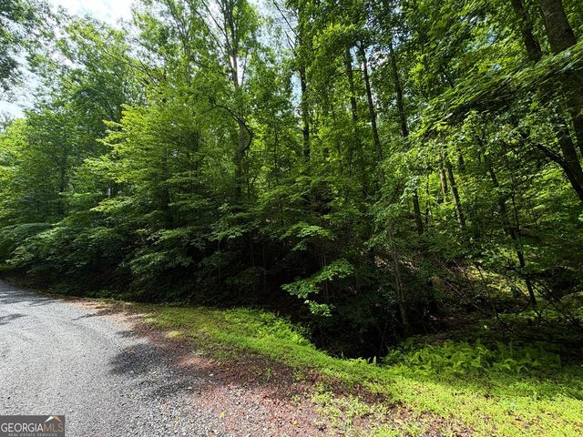 LT 144 Alcan Way, Ellijay, GA 30540