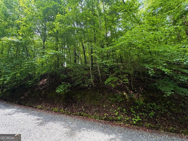 LT 144 Alcan Way, Ellijay, GA 30540