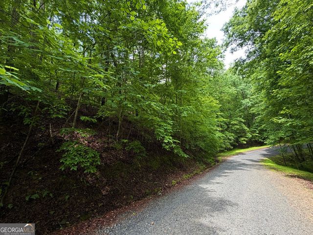 LT 144 Alcan Way, Ellijay, GA 30540