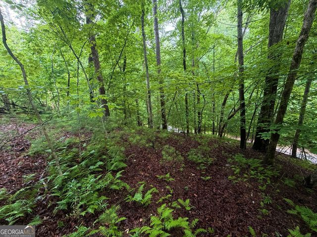 LT 144 Alcan Way, Ellijay, GA 30540