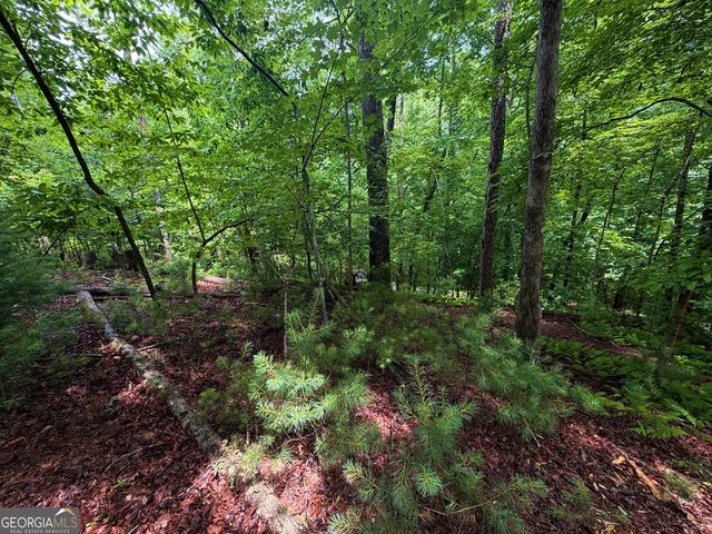 LT 144 Alcan Way, Ellijay, GA 30540