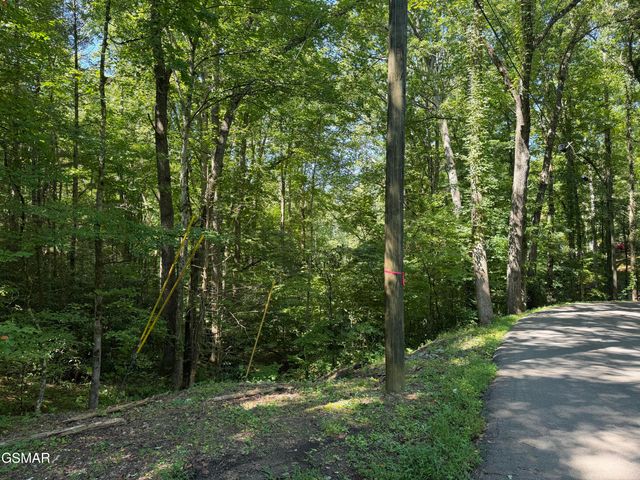 Lot 3 Low Gap Road, Gatlinburg, TN 37738