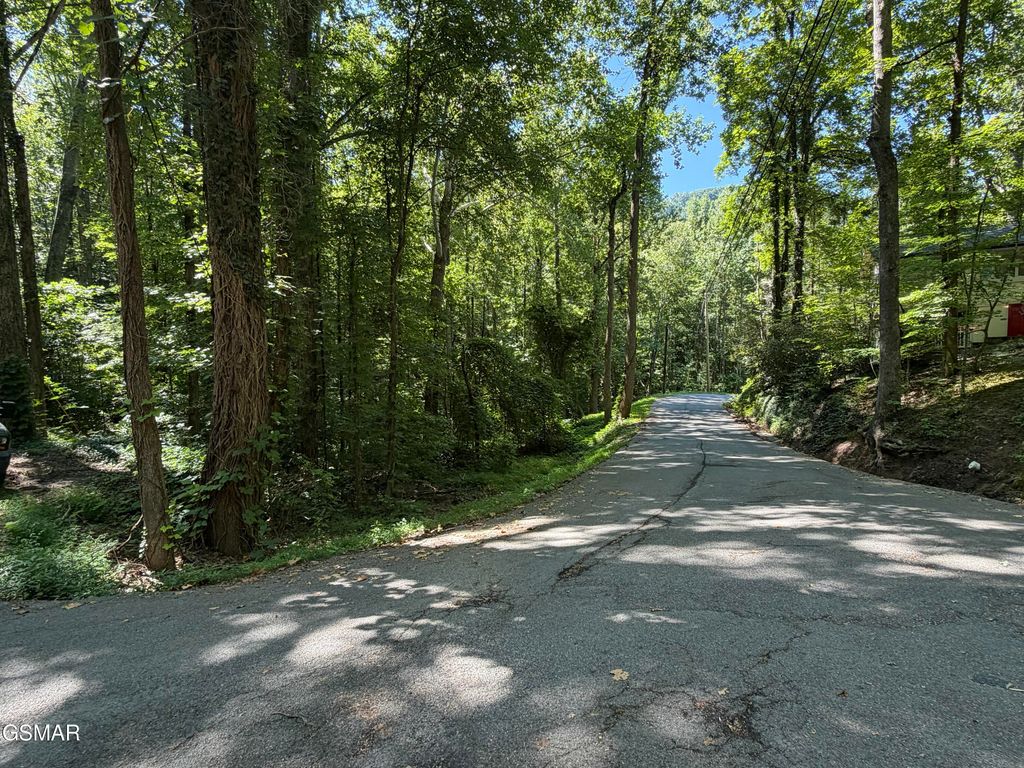 Lot 3 Low Gap Road, Gatlinburg, TN 37738