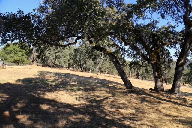 3791 Luneman Rd, Placerville, CA 95667