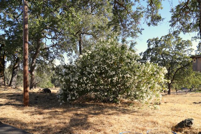 3791 Luneman Rd, Placerville, CA 95667