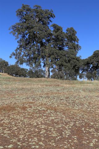 3791 Luneman Rd, Placerville, CA 95667