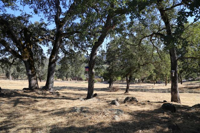 3791 Luneman Rd, Placerville, CA 95667