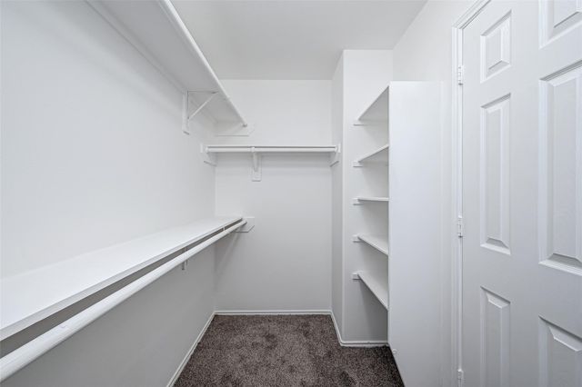 6906 Anson Point Lane, Houston, TX 77040
