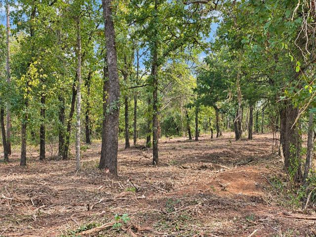 2812 COUNTY ROAD 805B, Keene, TX 76031