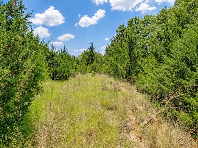2812 COUNTY ROAD 805B, Keene, TX 76031