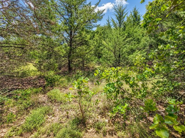 2812 COUNTY ROAD 805B, Keene, TX 76031