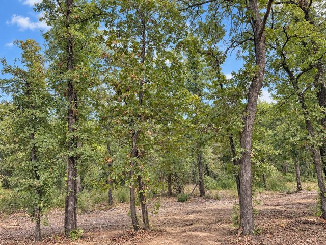 2812 COUNTY ROAD 805B, Keene, TX 76031