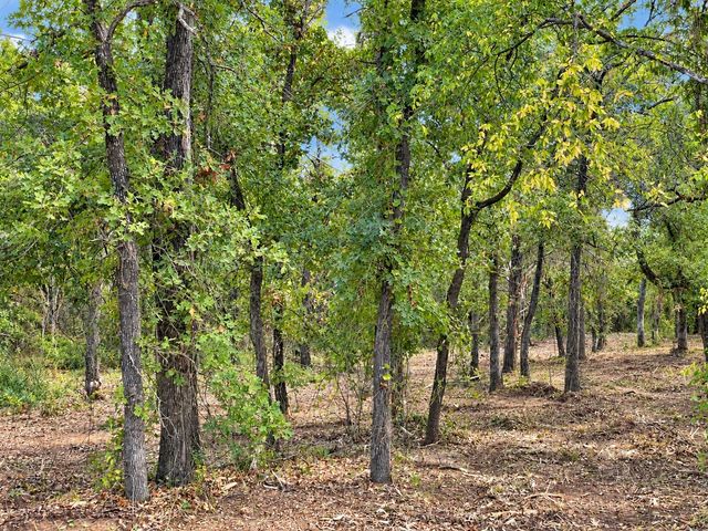 2812 COUNTY ROAD 805B, Keene, TX 76031