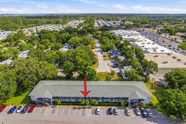 100 GLENNES LANE 204, Dunedin, FL 34698