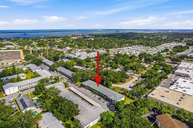 100 GLENNES LANE 204, Dunedin, FL 34698