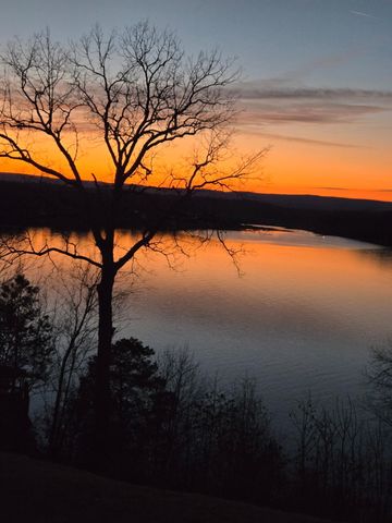 14302 Bluffview Drive, Birchwood, TN 37308