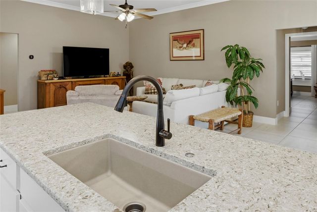 2737 AVA STREET, The Villages, FL 32163