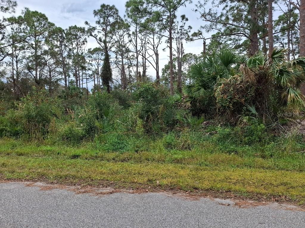12105 GAHAN AVENUE, Port Charlotte, FL 33953