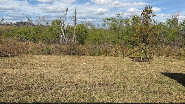 1629 TROPICAL OASIS AVENUE, Plant City, FL 33565