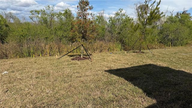 1629 TROPICAL OASIS AVENUE, Plant City, FL 33565