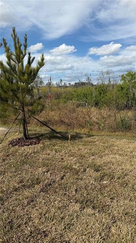 1629 TROPICAL OASIS AVENUE, Plant City, FL 33565