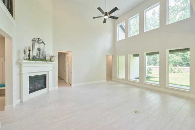 237 Patina Sorrel Drive, Montgomery, TX 77316