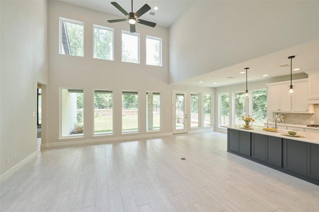 237 Patina Sorrel Drive, Montgomery, TX 77316