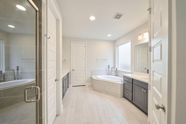 237 Patina Sorrel Drive, Montgomery, TX 77316