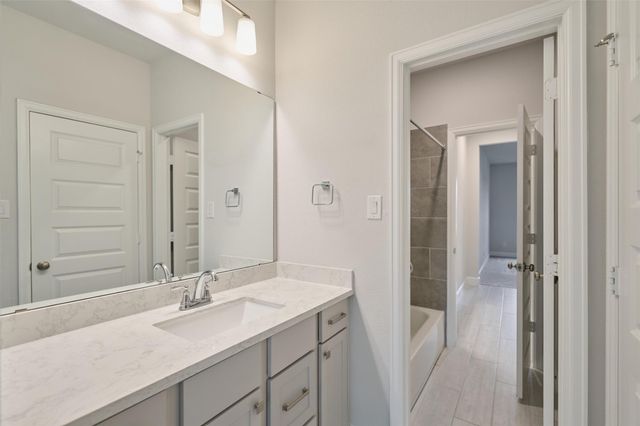 237 Patina Sorrel Drive, Montgomery, TX 77316