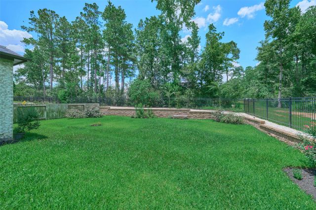 237 Patina Sorrel Drive, Montgomery, TX 77316