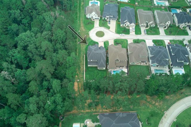 237 Patina Sorrel Drive, Montgomery, TX 77316