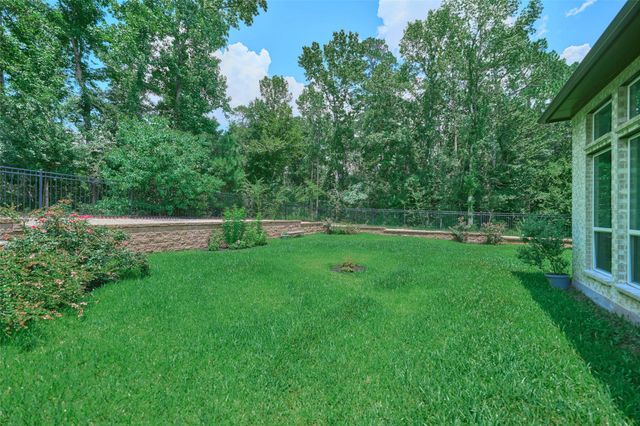 237 Patina Sorrel Drive, Montgomery, TX 77316