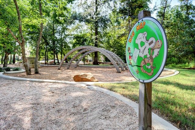 237 Patina Sorrel Drive, Montgomery, TX 77316