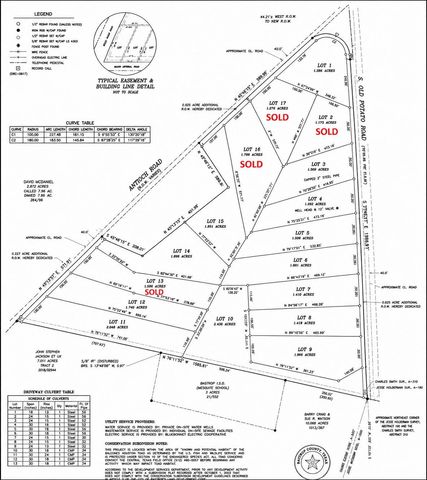 Lot 10 South Old Potato RD, Paige, TX 78659