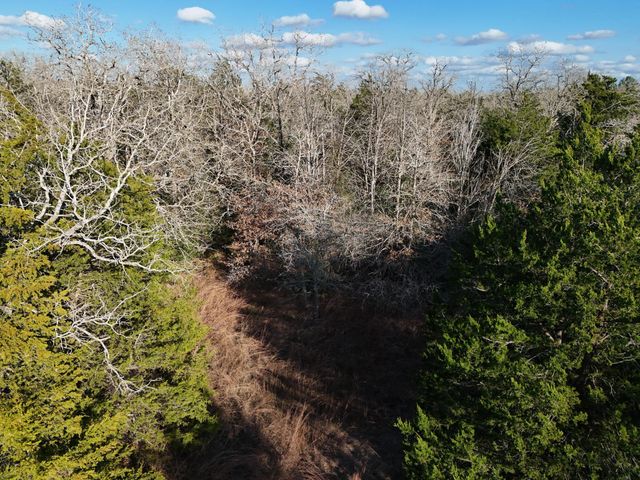 Lot 10 South Old Potato RD, Paige, TX 78659