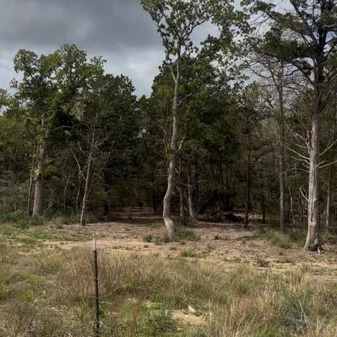 Lot 10 South Old Potato RD, Paige, TX 78659
