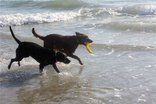 5961 Nugget, Huntington Beach, CA 92647